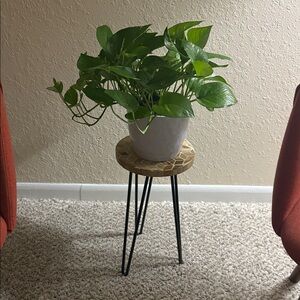 Geometric Wood Accent Table with Black Legs